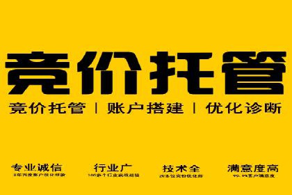 百度推广中的创意策略：成功案例解析与启示